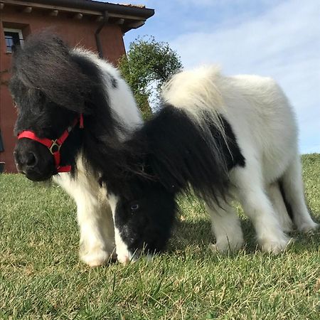 B&B Ca Bianca Dell'Abbadessa San Lazzaro di Savena Luaran gambar