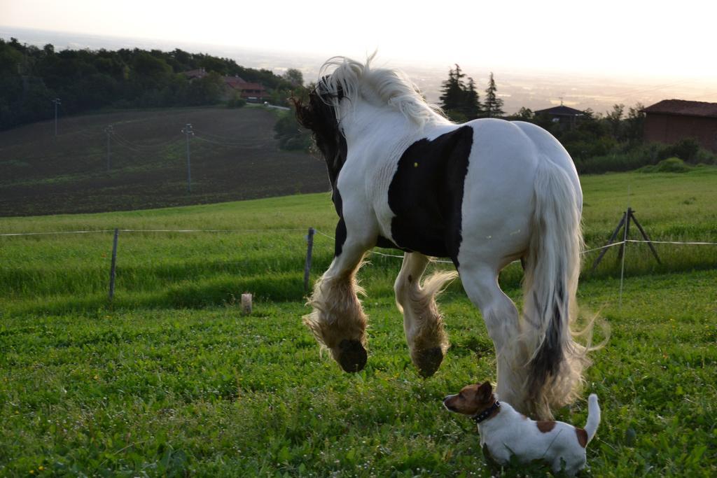 B&B Ca Bianca Dell'Abbadessa San Lazzaro di Savena Luaran gambar