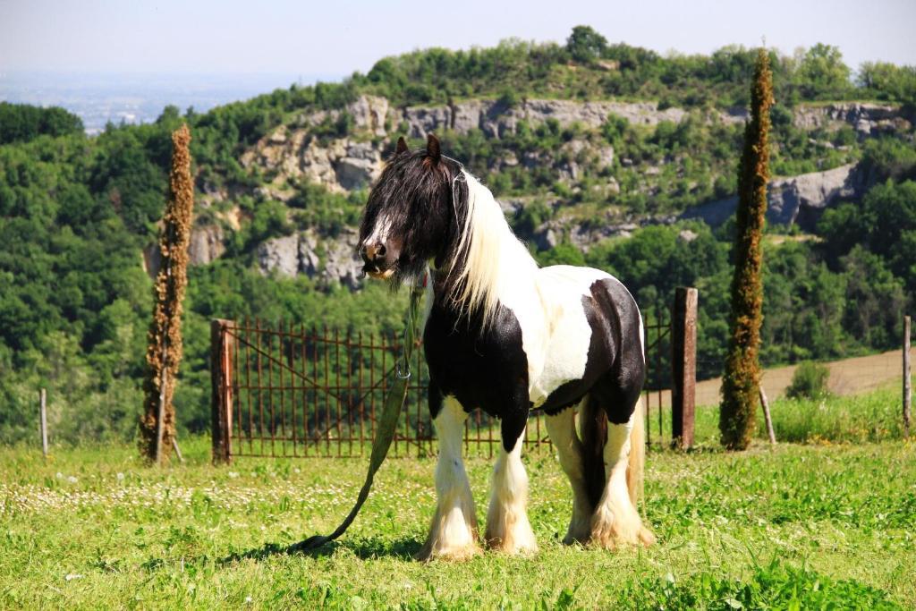 B&B Ca Bianca Dell'Abbadessa San Lazzaro di Savena Luaran gambar