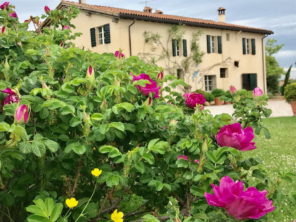 B&B Ca Bianca Dell'Abbadessa San Lazzaro di Savena Luaran gambar